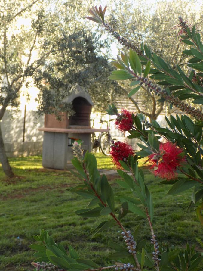 Twins Villa Rosini Exterior photo